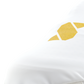 AEROTOESGOLDLOGO