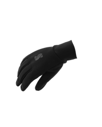 Winter Gloves Classic
